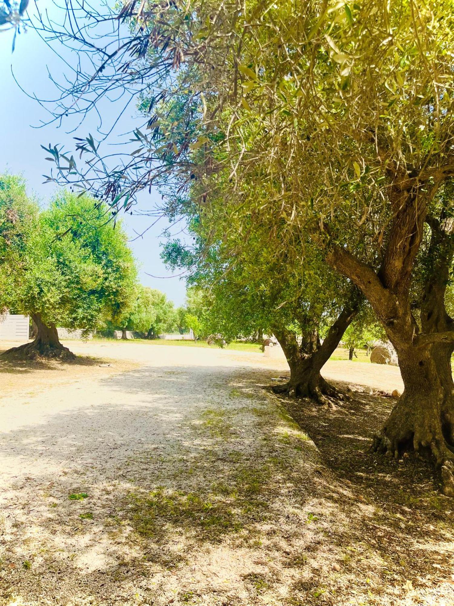 Dimora Bianchemura Ostuni Extérieur photo